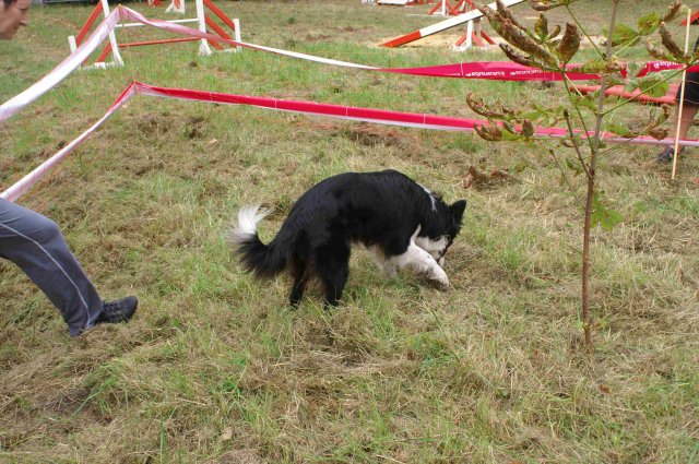 foire-haricots 2011-09-17et18